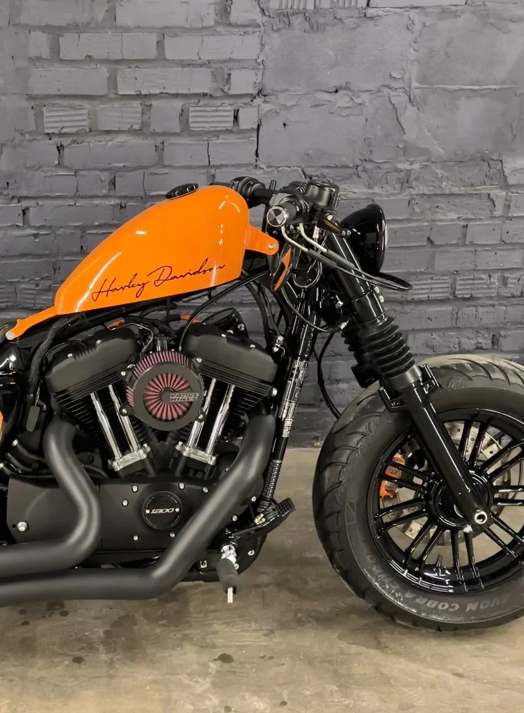 Custom Bike
